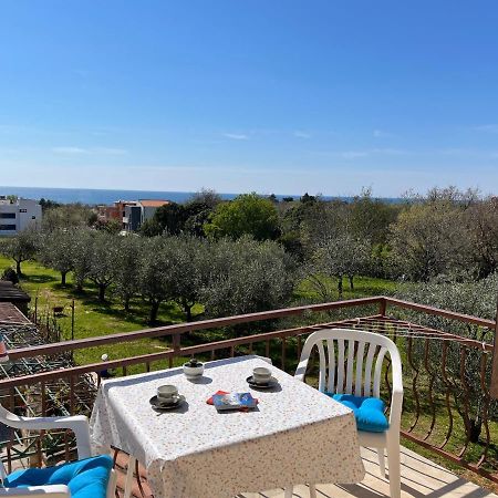 Apartments Konceta Poreč Eksteriør billede